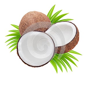 Coconuts with leaves photo