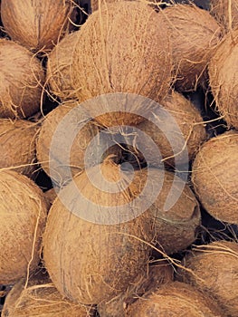 Coconuts in market
