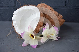 Coconuts with mint and orhid flowers, on dark background. Copy space.