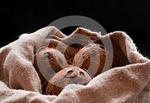Coconuts, naturally burlap and fresh from the tree photo