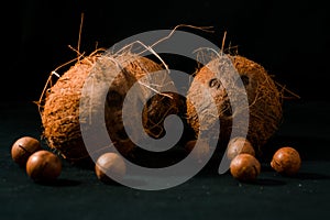 Coconuts, naturally burlap and fresh from the tree photo