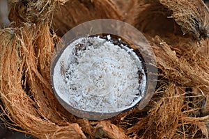 Coconuts sale in market thailand