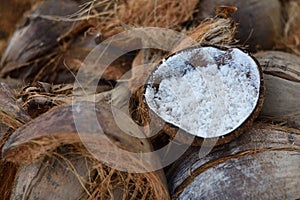 Coconuts sale in market thailand