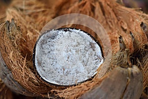 Coconuts sale in market thailand