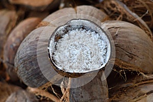 Coconuts sale in market thailand