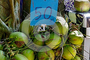 Coconuts for sale on a Thailand street, priced at 50 baht each