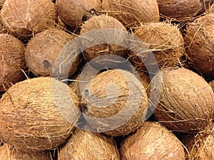 Coconuts for Sale.