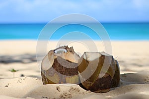 Coconuts in the sand