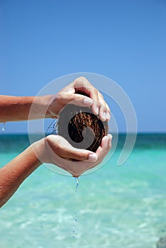 Coconuts in sea