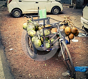 Coconuts for sell on the local Indian market