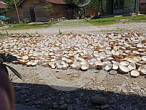 coconuts are dried to make copra