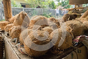 Coconuts at a stand
