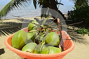 Coconuts in a wheelbarrow