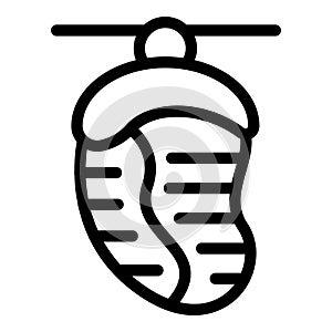 Cocoon maturation icon outline vector. Biology cocooning stage photo