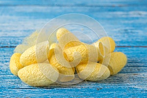 Cocoon Silk on Blue wooden floor.