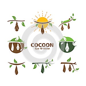 cocoon vector illustrtion design