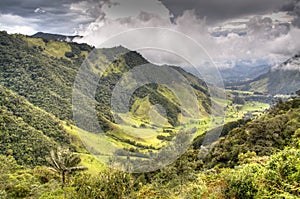 Cocora valley photo