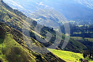 Cocora valley national park