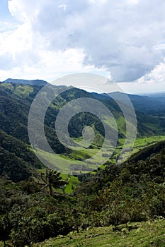 Cocora valley and palm forests
