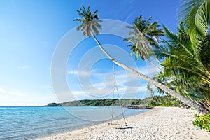 Cocunut and beach in good weather