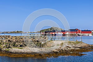 Cod drying racks in the harbor of Reine on Lofoten Island, featuring a calm sea, jagged rocky shore, and classic red Rorbu houses