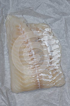 Cod fillet on white paper