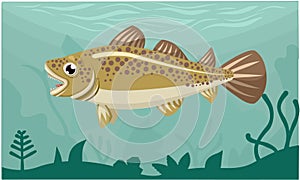 Cod Fish Cartoon Design Vector Illustration