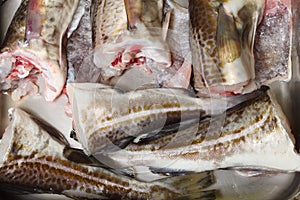 Cod fish - fish fillets