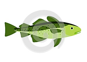 Cod fish illustration.