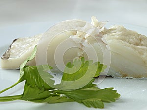 Cod fish raw fillet with herbs