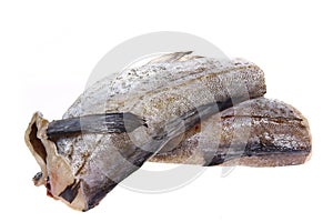 Cod isolated on a white background