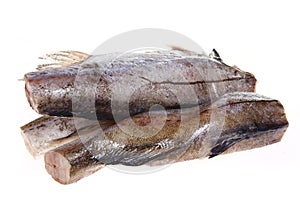 Cod isolated on a white background