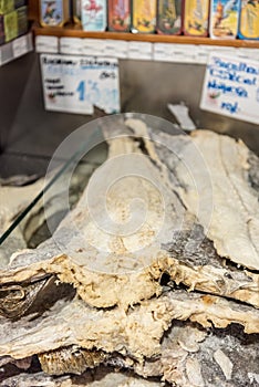 Cod in a market in the centre of Lisbon, Portugal