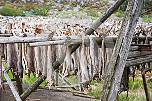 Cod stockfish