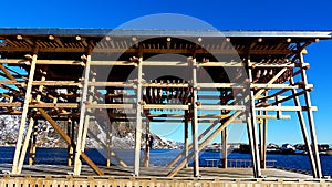 Codfish hanging on a fish rack, Sakrisoy Village on the Lofoten Islands, Norway.