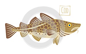 Codfish, vector cartoon illustration photo