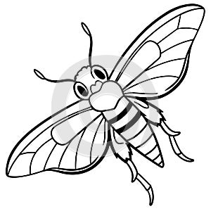 Codling Moth jumps icon vector