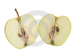 Codling moth pest damage in apple, view inside cut fruit, isolated on white. Cydia pomonella.