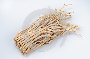 Codonopsis pilosula (Franch.) Nannf.