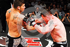 Cody Lightfoot Mixed Martial Artist