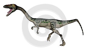 Coelophysis dinosaur - 3D render photo