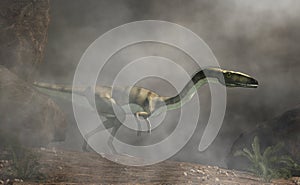 Coelophysis in the Fog photo