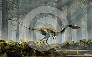 Coelophysis in a Forest photo
