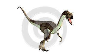 Coelophysis on White Background photo