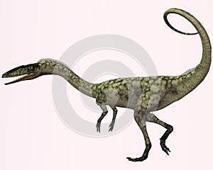 Coelophysis Profile photo