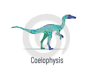 Coelophysis. Theropoda dinosaur. Colorful vector illustration of prehistoric creature coelophysis in hand drawn flat