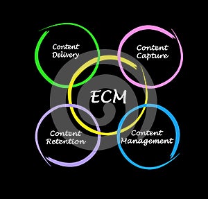 CoEnterprise content management