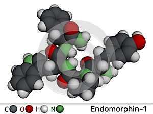 Coenzyme A, CoA, SHCoA, CoASH molecule. Molecular model. 3D rendering