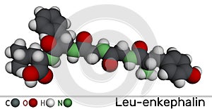 Coenzyme A, CoA, SHCoA, CoASH molecule. Molecular model. 3D rendering. photo