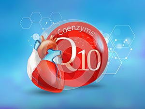 Coenzyme Q 10. Basics of healthy nutrition